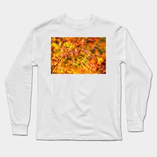 Maple tree red and orange autumn leafs Long Sleeve T-Shirt